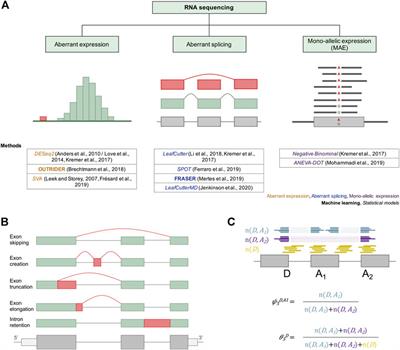 How Machine Learning and Statistical Models Advance Molecular Diagnostics of Rare Disorders Via Analysis of RNA Sequencing Data